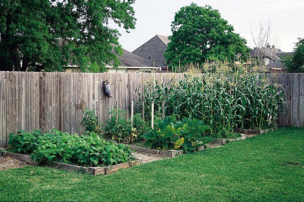 fence_garden